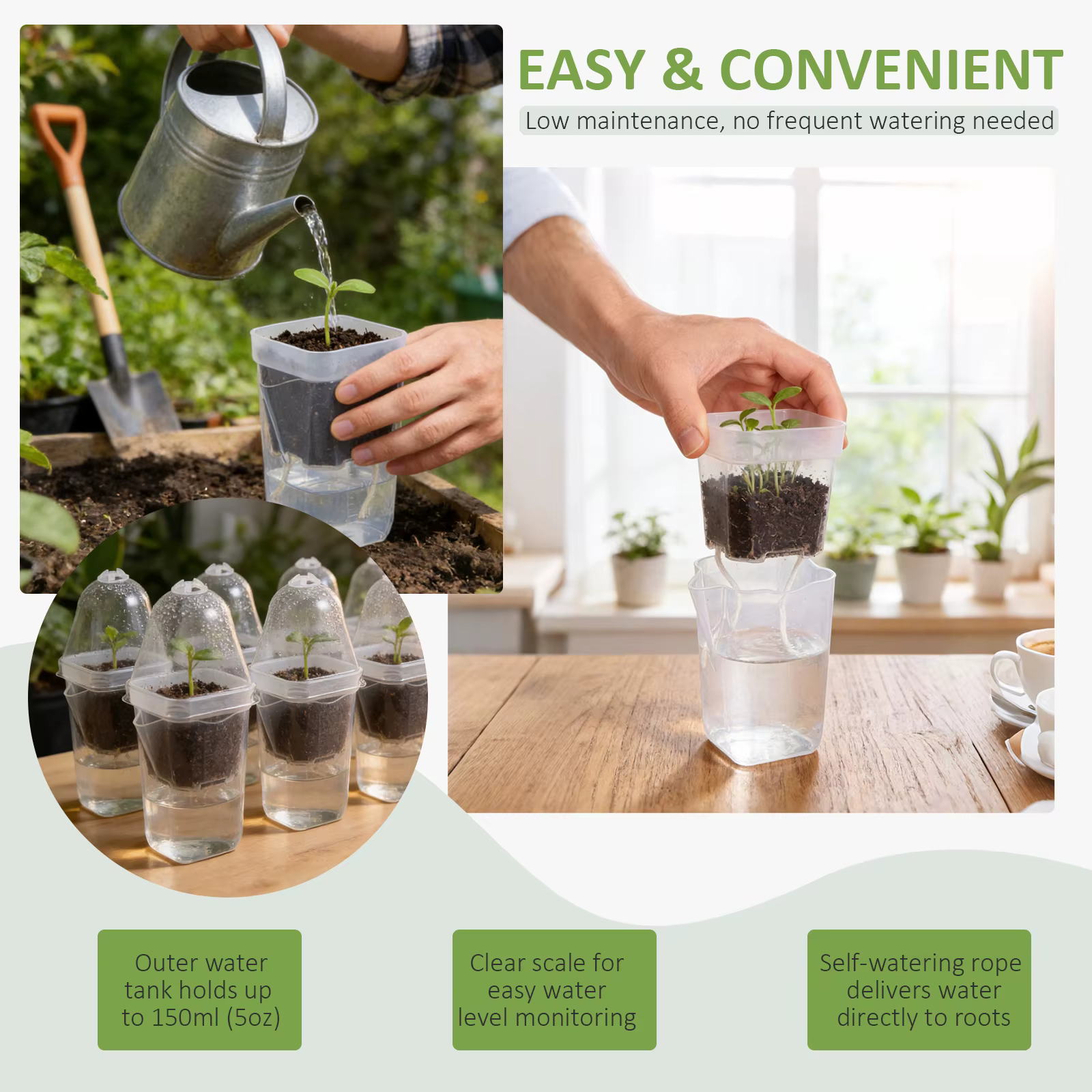 12 Pots de Fleurs Auto-Arrosants en Plastique Transparent pour Plantes Hydroponiques
