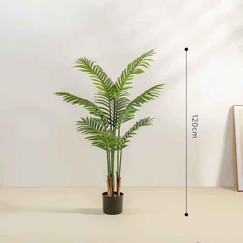 Simulation plante verte Areca