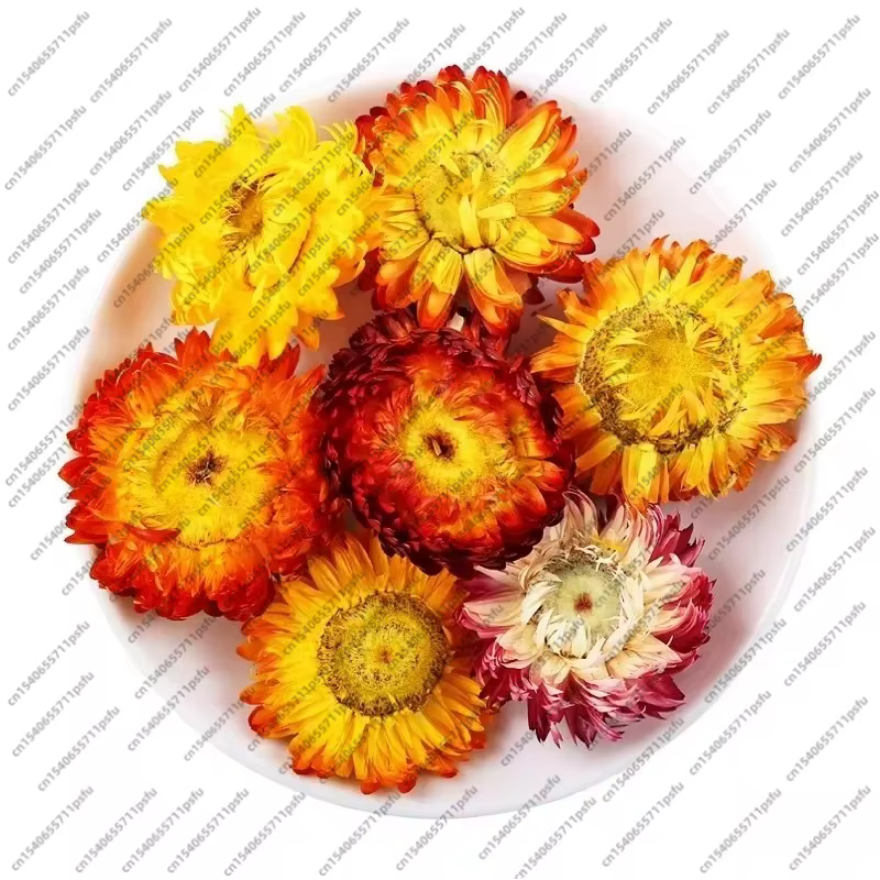 Fleurs Artificielles Décoratives Blanches : Chrysanthème et Camomille pour Vase, Ornement Maison, Mariage, Fête, Matière Première DIY