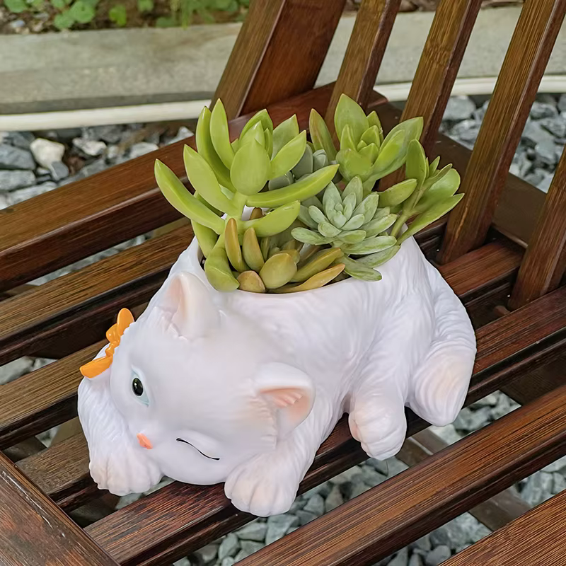 Pot de fleurs succulentes chat mignon
