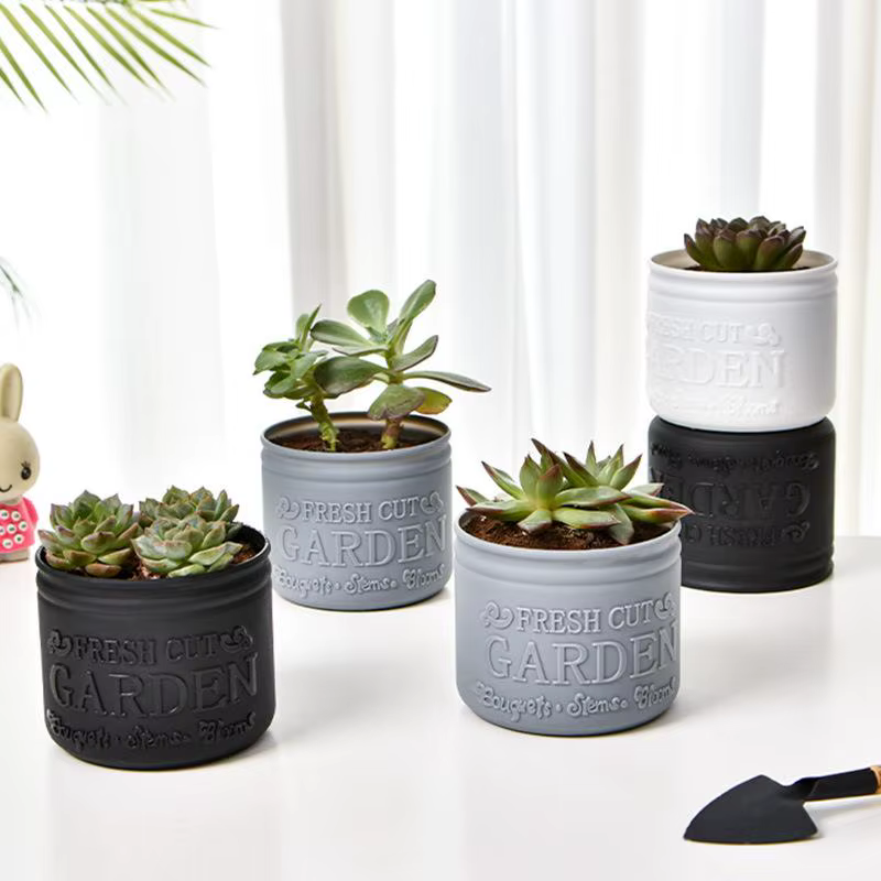 Pot de fleurs rond pour plantes succulentes