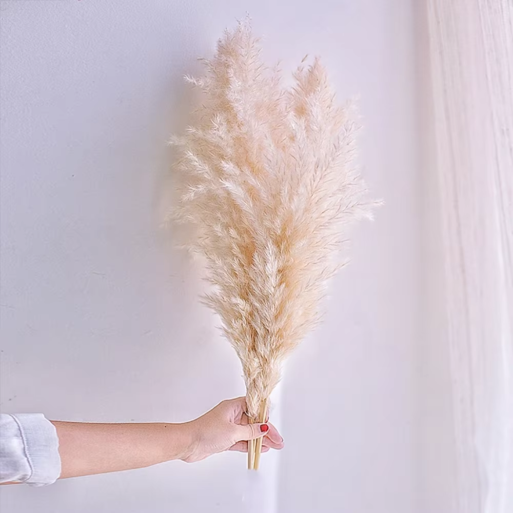 Décoration d'herbe de Pampa Boho 60cm