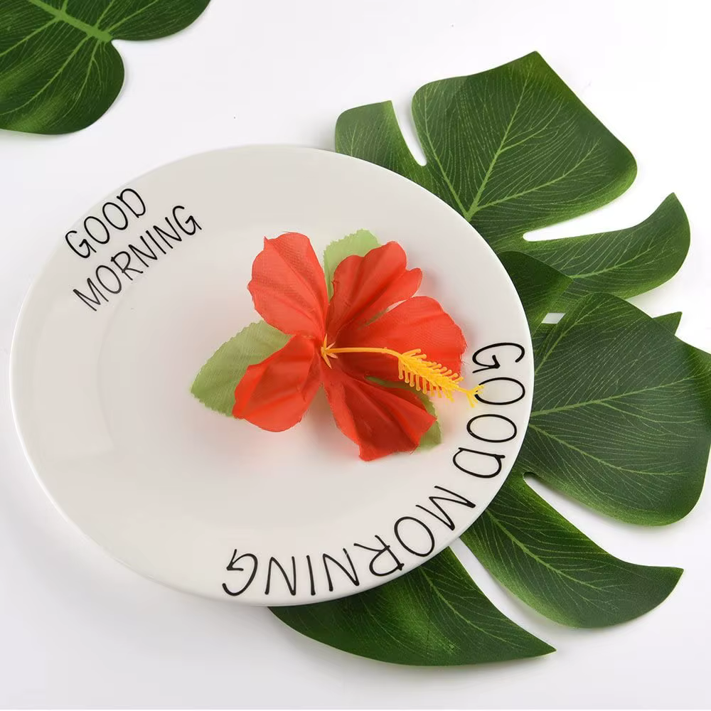 Feuilles de palmier Monstera tropicales