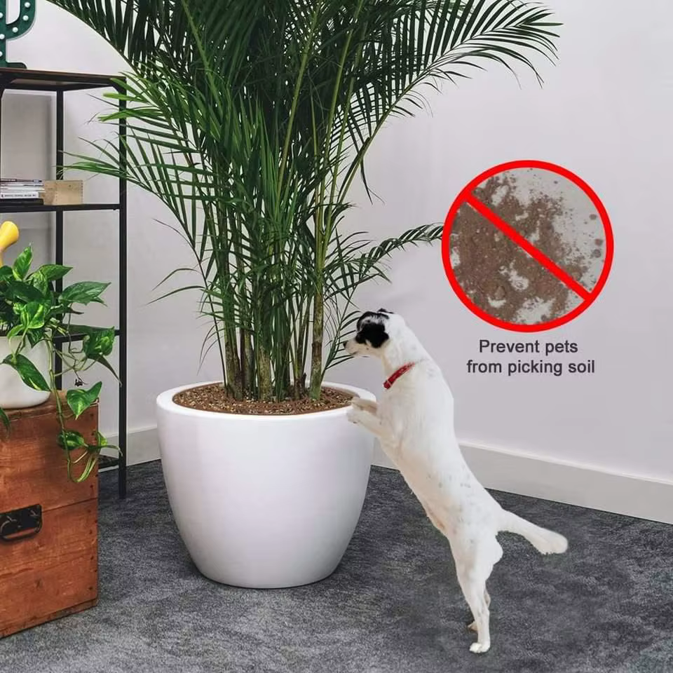 Filet de protection pour racines de plantes