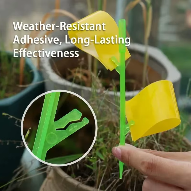 Pièges collants pour insectes 15/60x