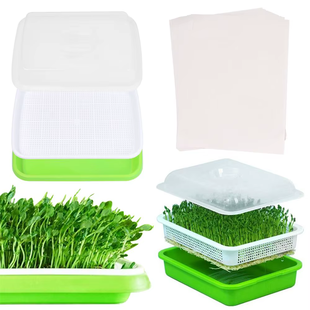 Plateau de culture hydroponique pour jardin domestique