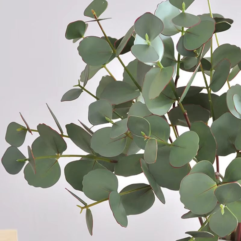 Feuilles d'eucalyptus artificielles pour la décoration de la maison