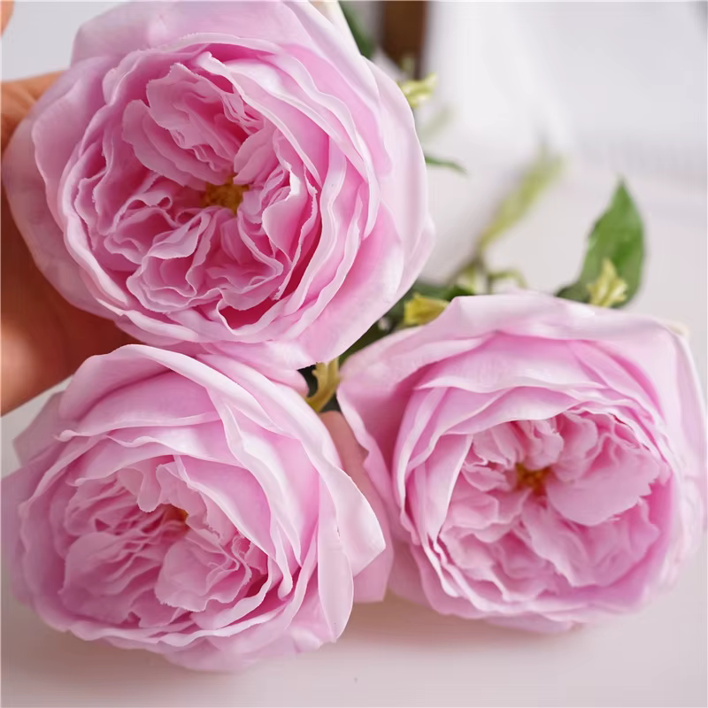 Simulation de fleurs de rose au toucher réel