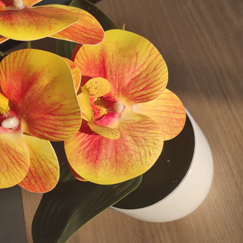Bonsaï simulé papillon orchidée artificielle plante en pot bureau Table à manger maison