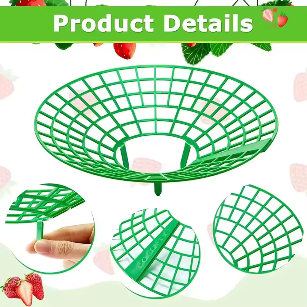 Supports pour plantes à fraises