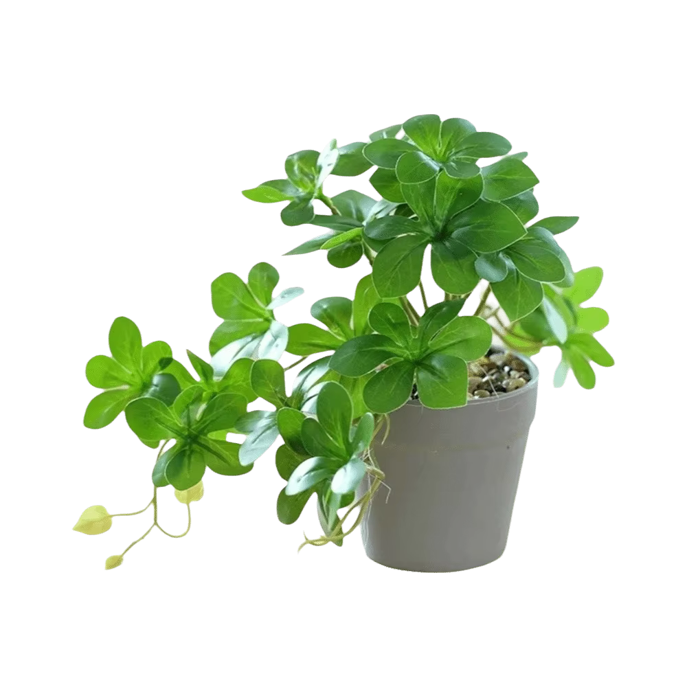 Bonsaï artificiel, plante artificielle avec pot