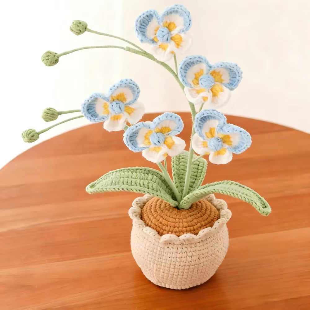 Nouvelle plante en pot de Phalaenopsis à 5 têtes
