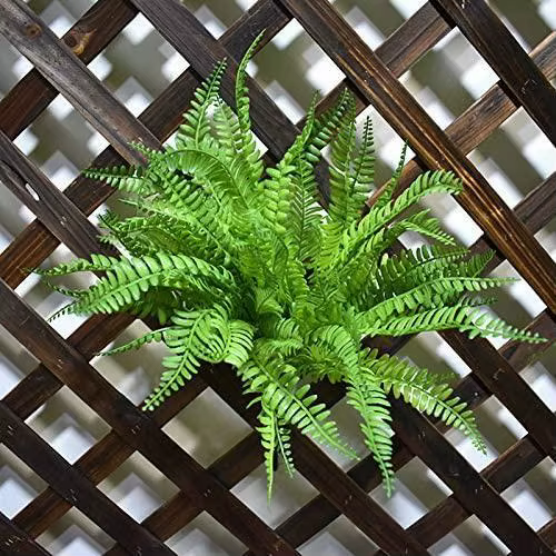 Lot de 4 plantes artificielles de fougères