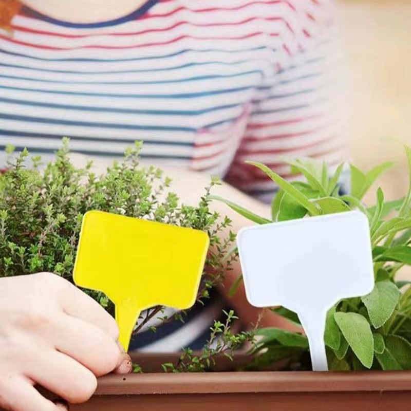 Étiquettes pour plantes de jardin 100 pièces