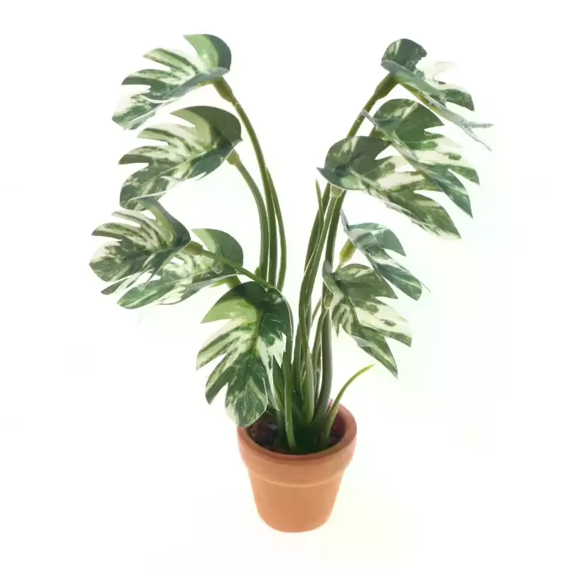 Simulation de maison de poupée Monstera