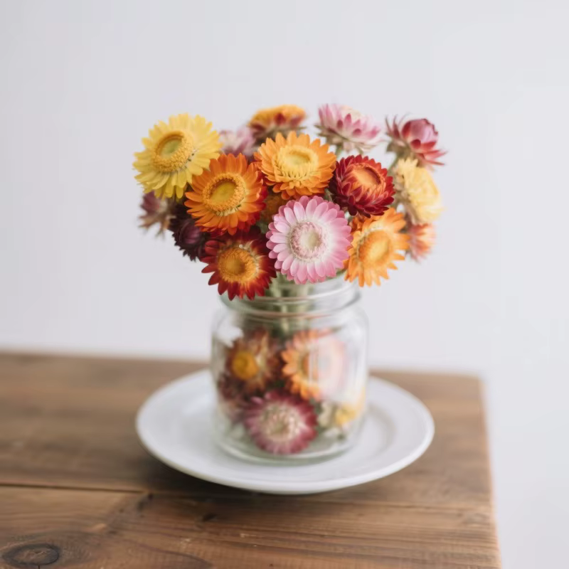 Fleurs Artificielles Décoratives Tournesol Marguerite Hélichrème Bracteatum pour Décoration de Vase à la Maison, Mariage, Fête, Matière Première pour Artisanat DIY