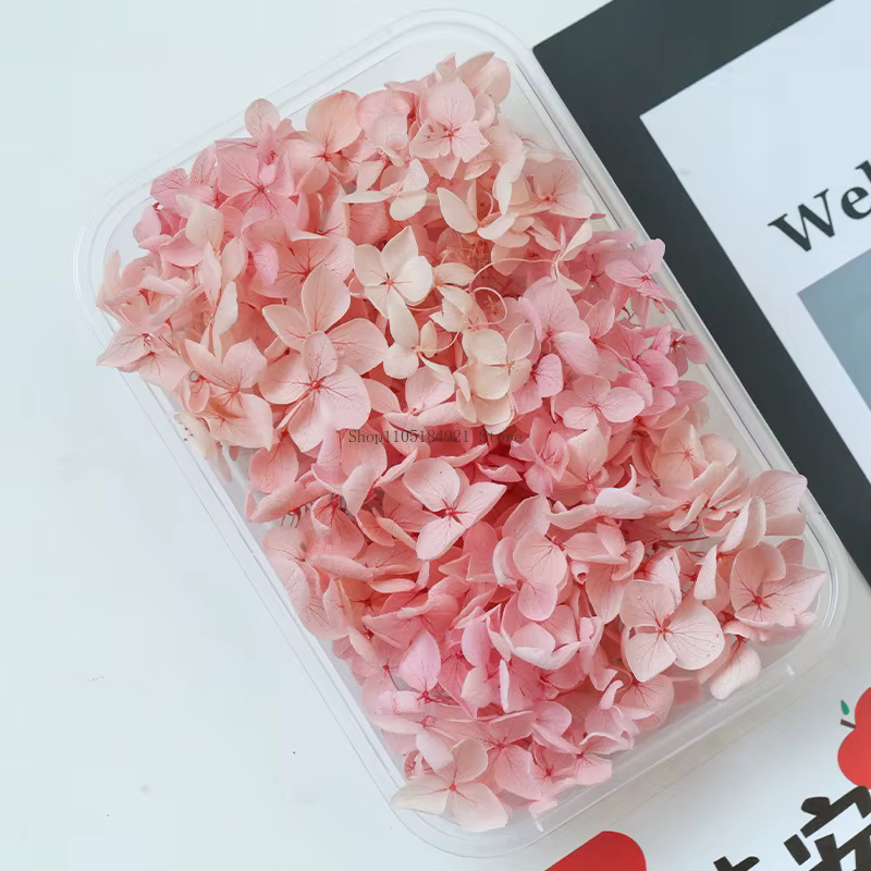 Fleurs séchées naturelles d'hortensia dégradé 5G Anna