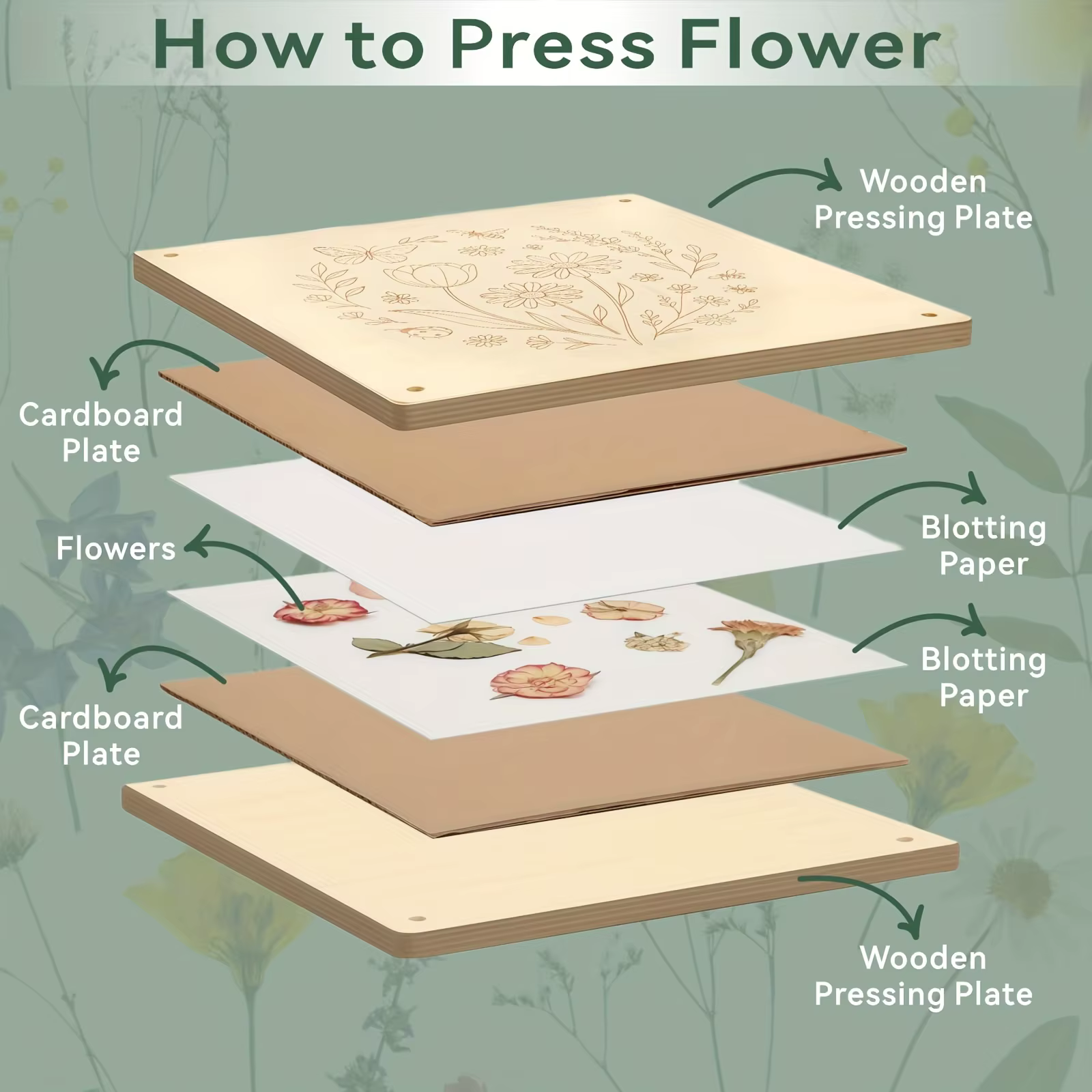 Kit de pressage de fleurs en bois, ensemble de pressage de feuilles et de plantes réutilisable pour la création de fleurs séchées DIY