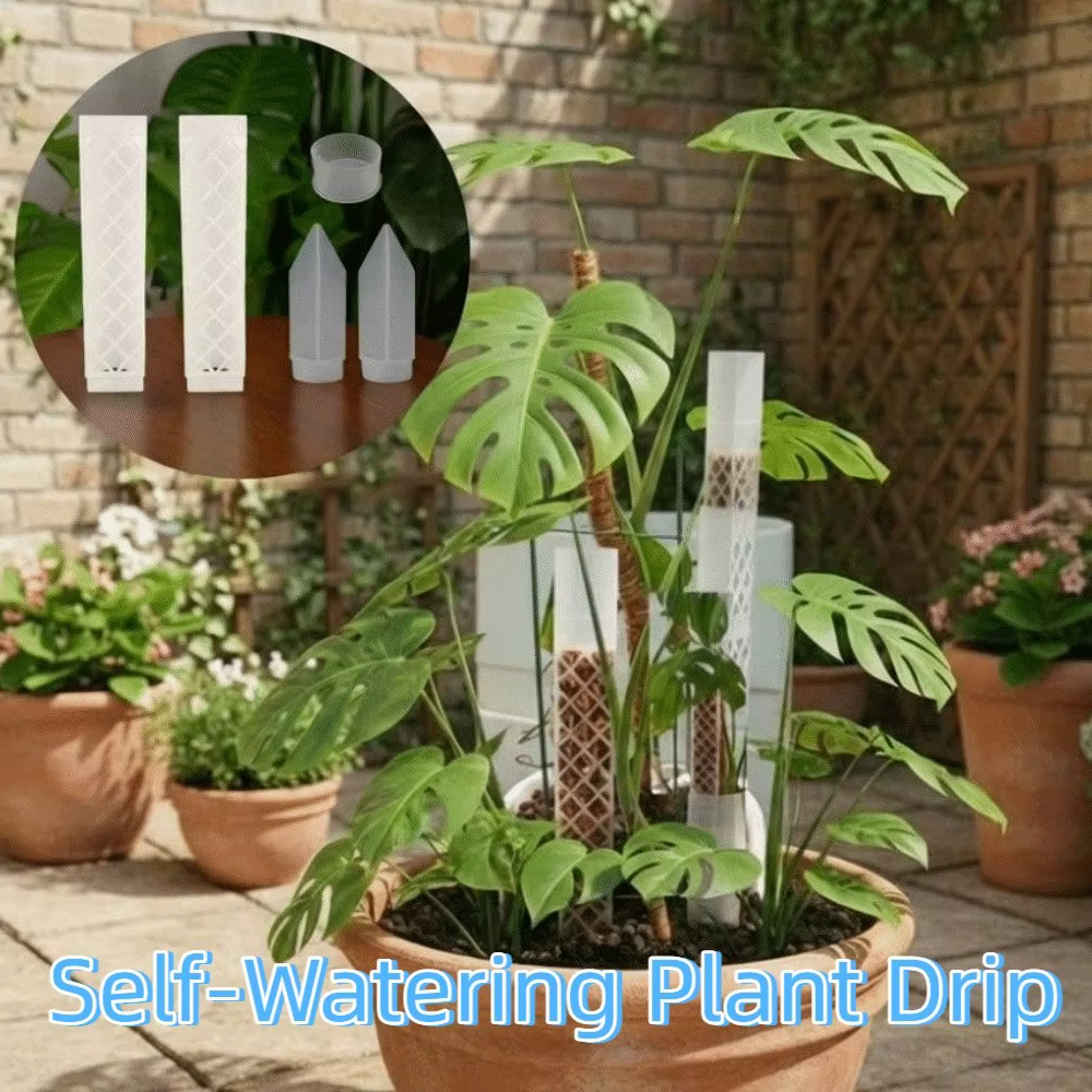 Support de croissance pour plantes grimpantes en plastique en forme