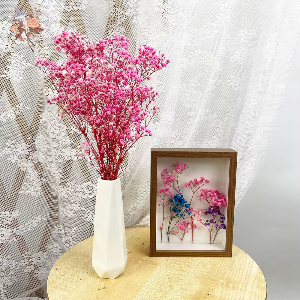 Lot de 5 fleurs éternelles de gypsophile séchées naturelles