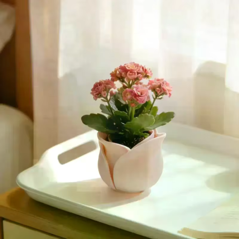 Pot de fleurs en forme de rose