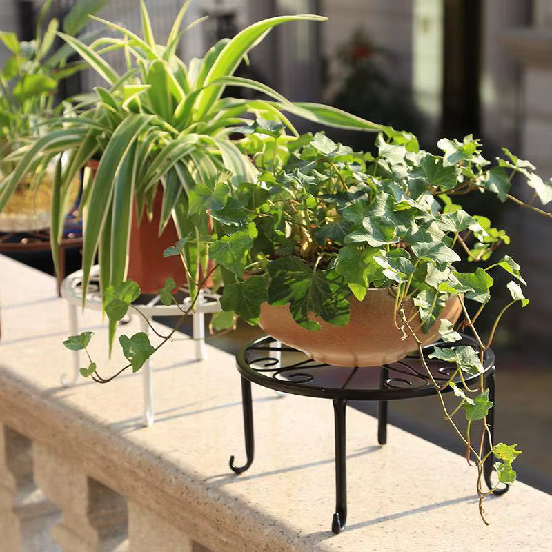 Supports de plantes en fer avec soucoupe