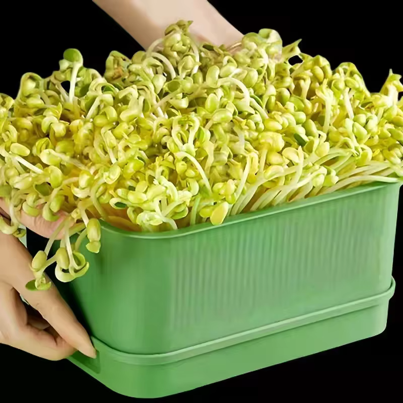 Pots de culture en plastique pour pépinière