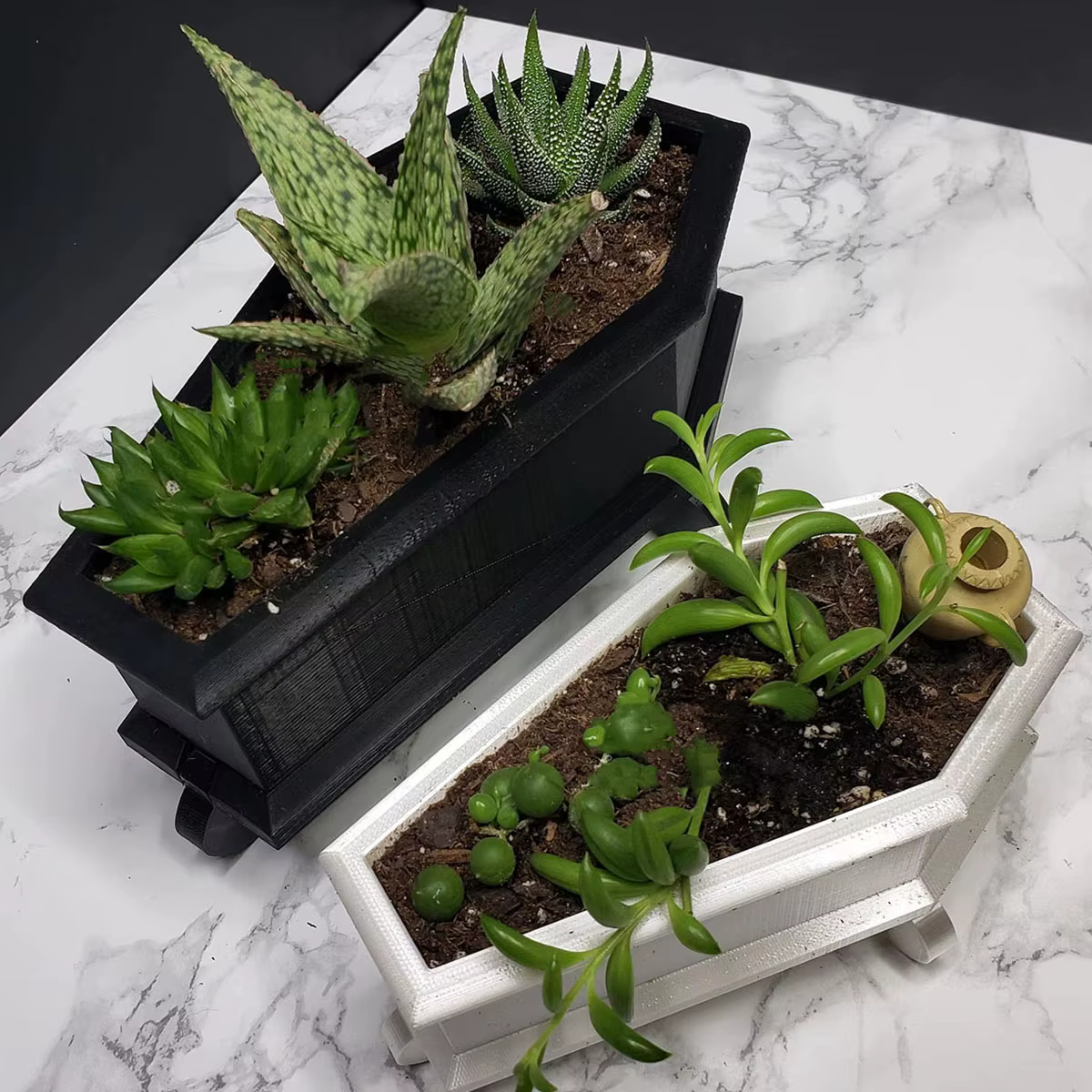 Mini planteur de cercueil