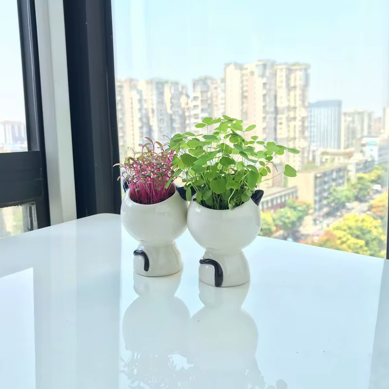 Pot de fleurs en céramique en forme de chat