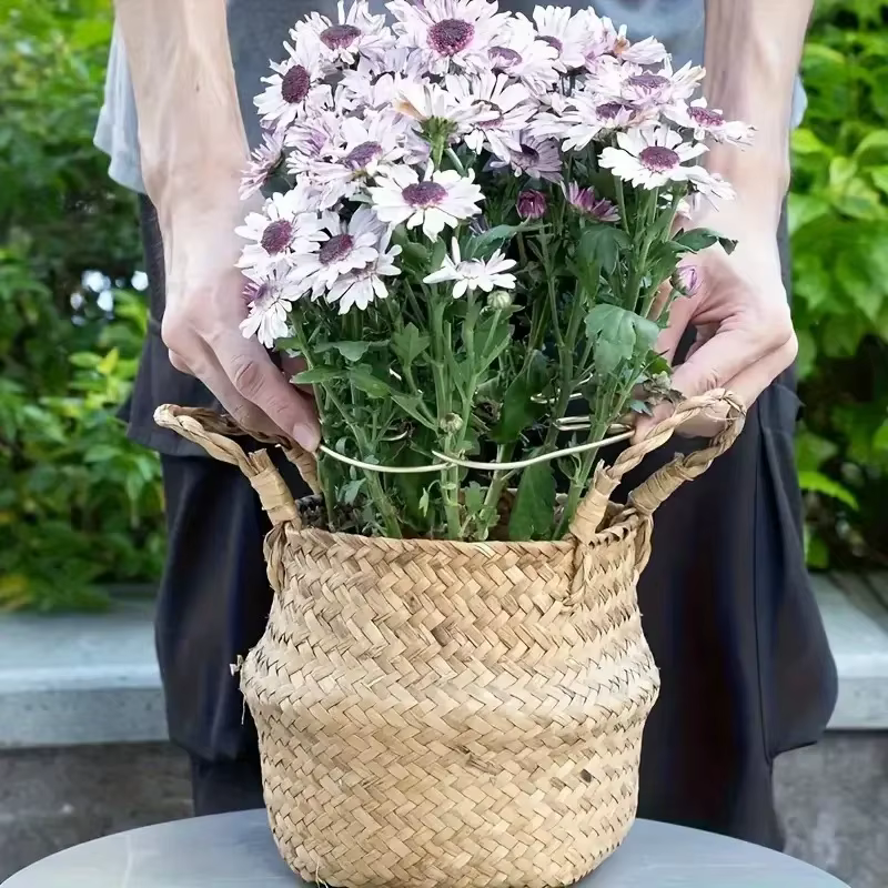 Support de plante suspendu avec crochets en fer