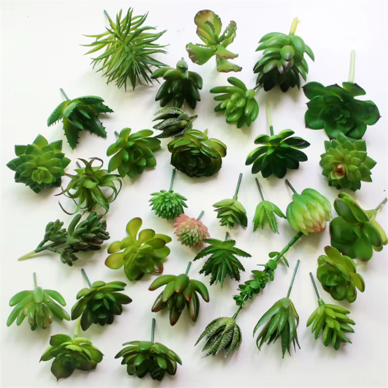 Petites plantes succulentes artificielles en PVC