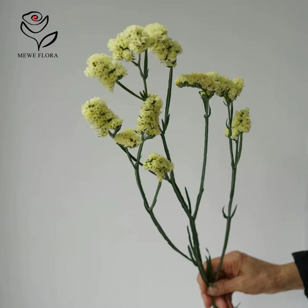 Fleurs Parfumées vaccées de 100g