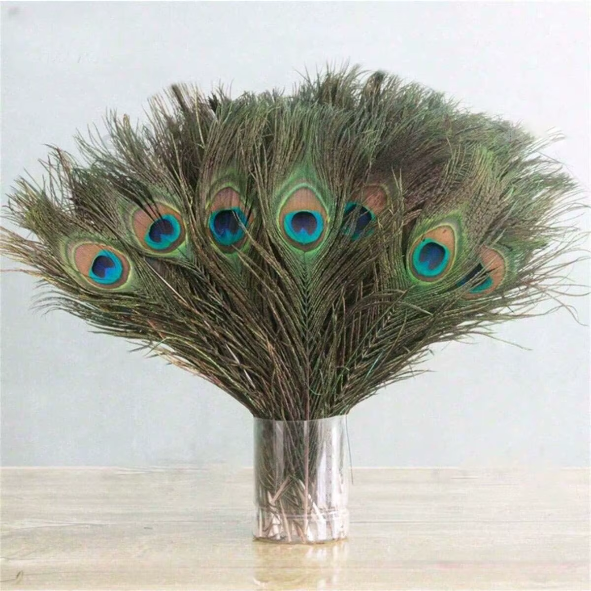 Plumes de paon naturelles 25-30cm