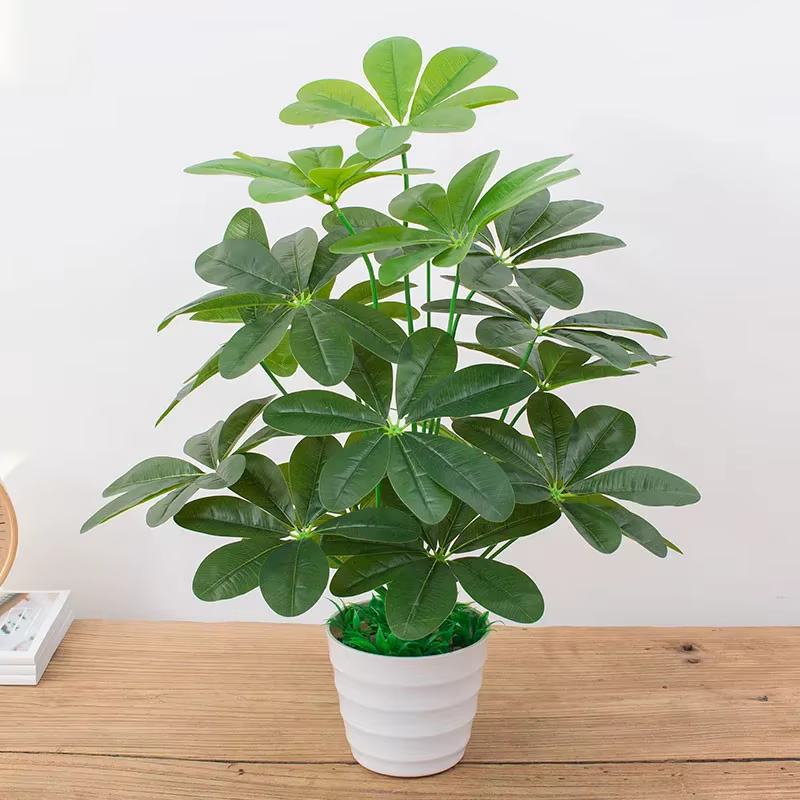 Feuilles riches artificielles d'aloès vert sans Pot