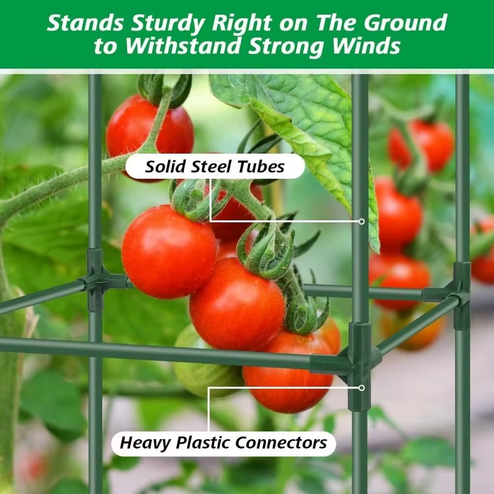 Treillis de plantes grimpantes durable