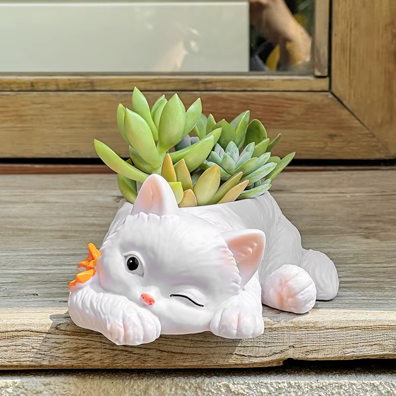 Pot de fleurs succulentes chat mignon