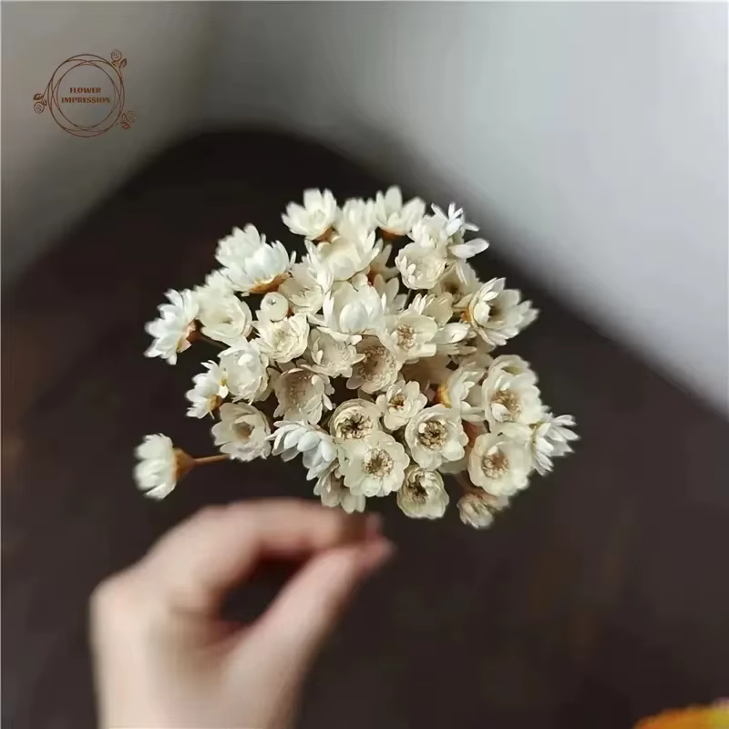Petite étoile naturelle marguerite fleurs séchées décor de mariage