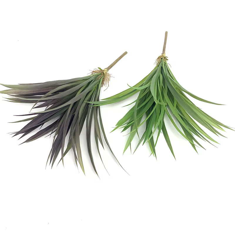 Plante artificielle en plastique Chlorophytum Comosum
