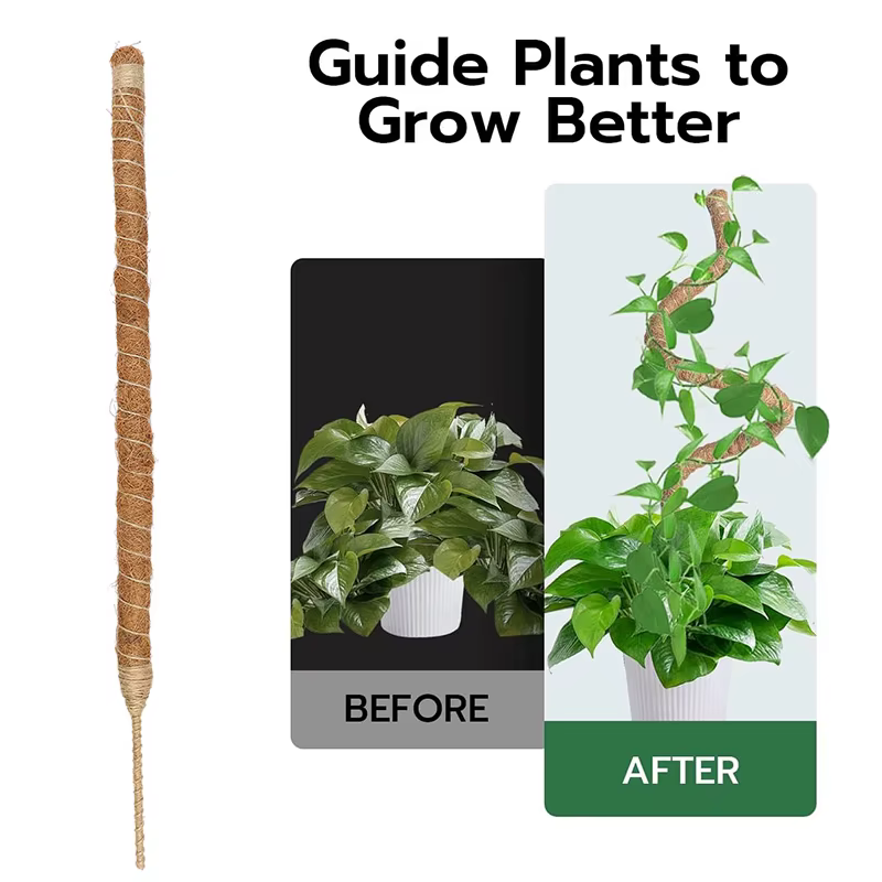 Support de Plantes en Fibre de Coco Flexible pour Trepieds