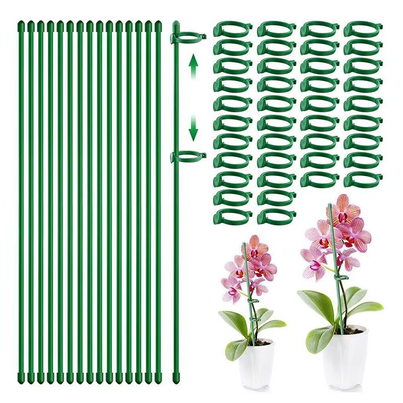 Piquets de Support pour plantes