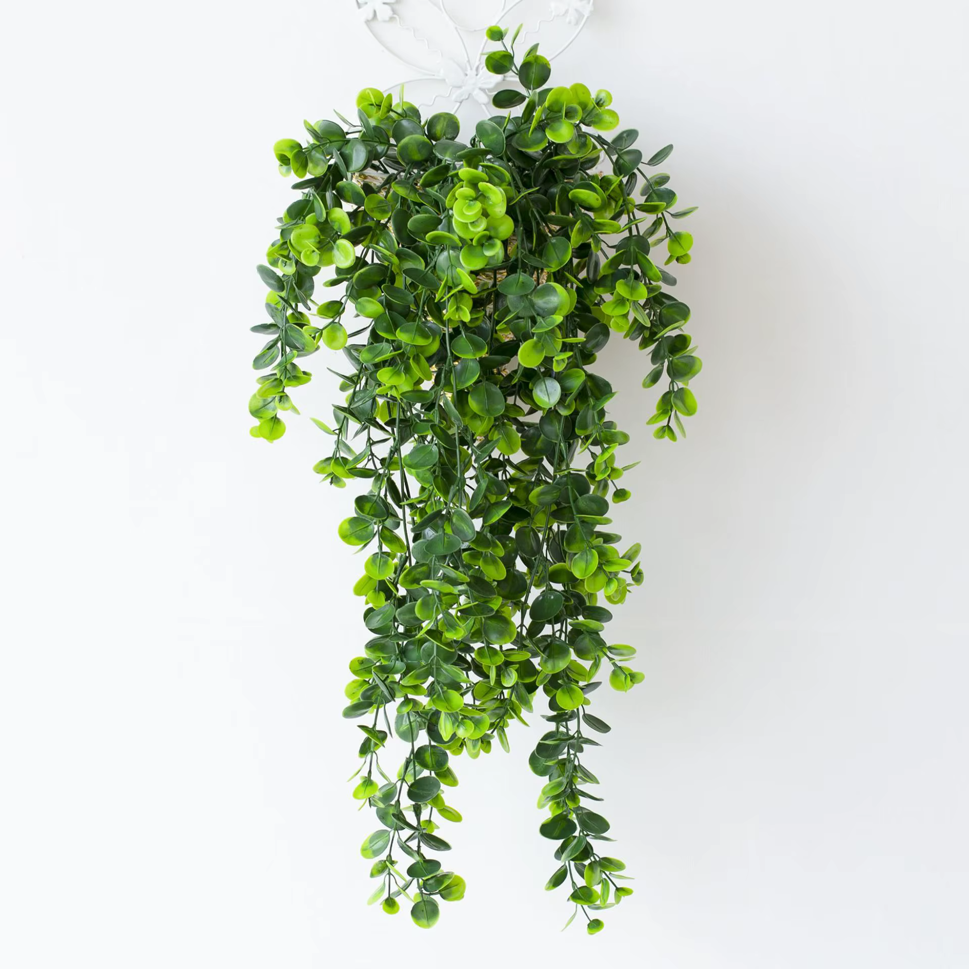 Plante verte artificielle d'eucalyptus