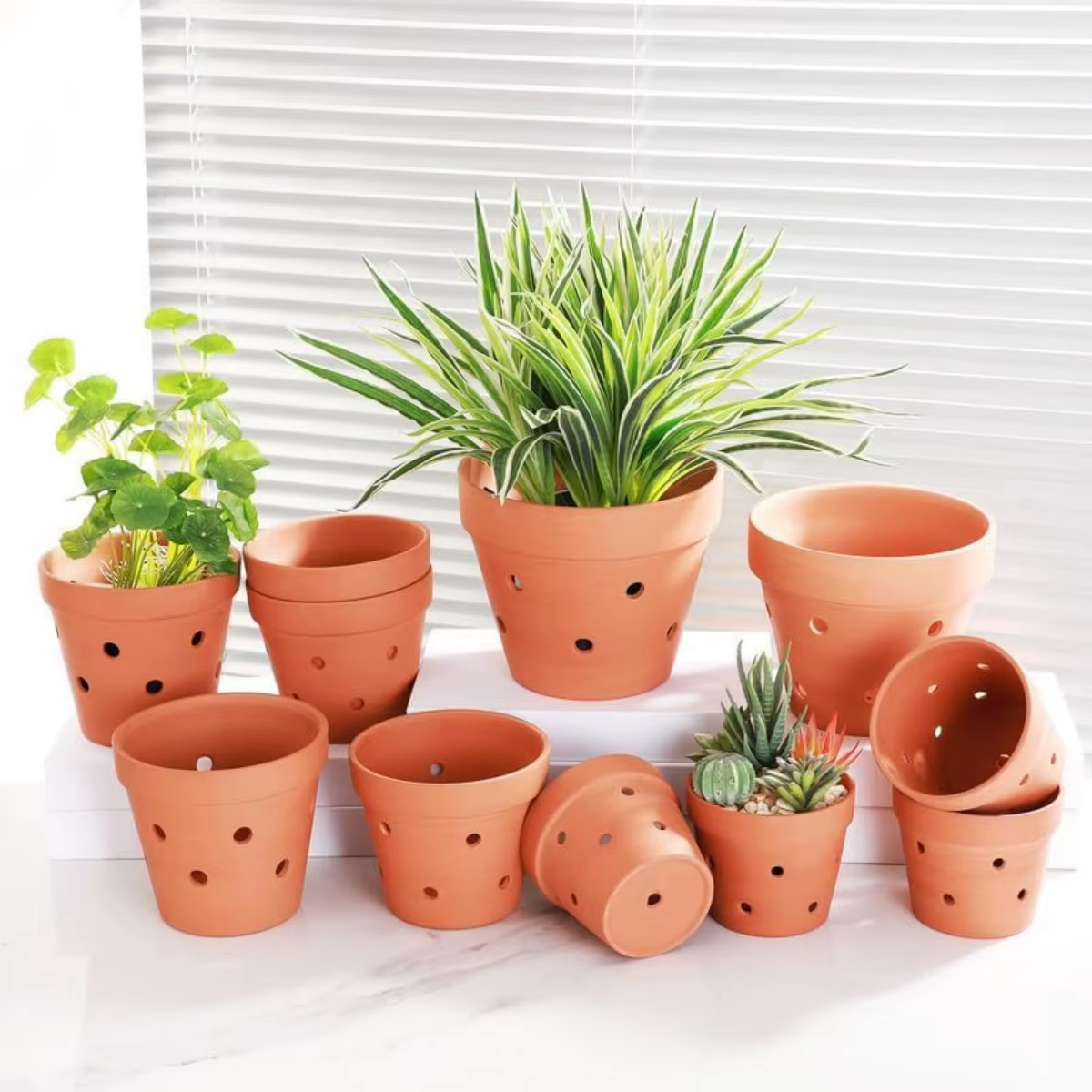 Pots d'orchidées en terre cuite avec trous