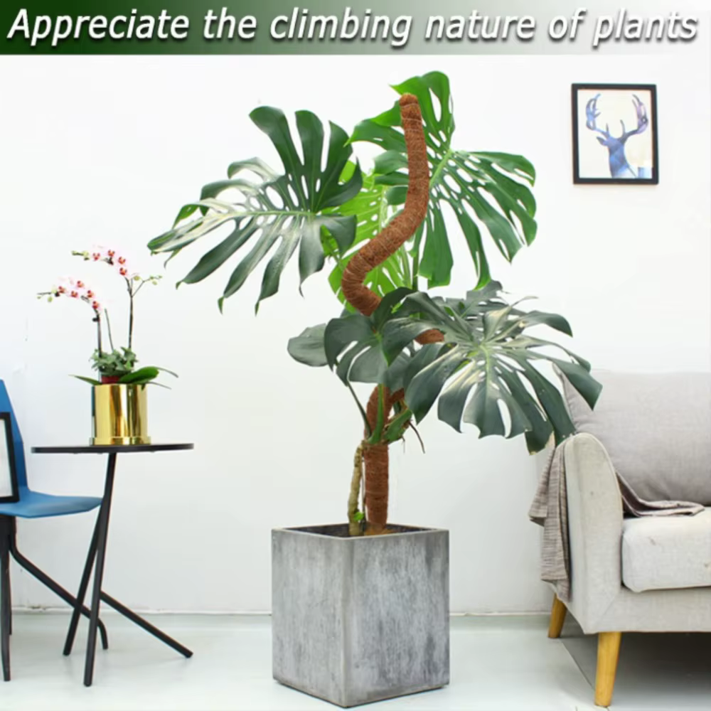 Support d'escalade pour plantes pliables