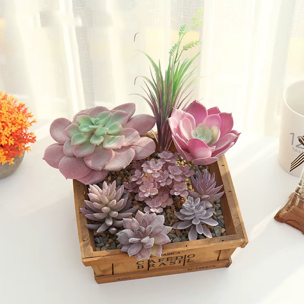 Tête de fleur succulente