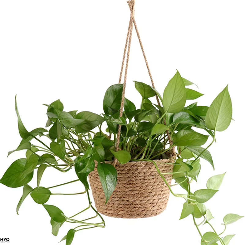 Pot suspendu de jardin en macramé