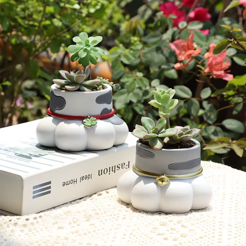 Pot de plantes succulentes en forme de patte de chat