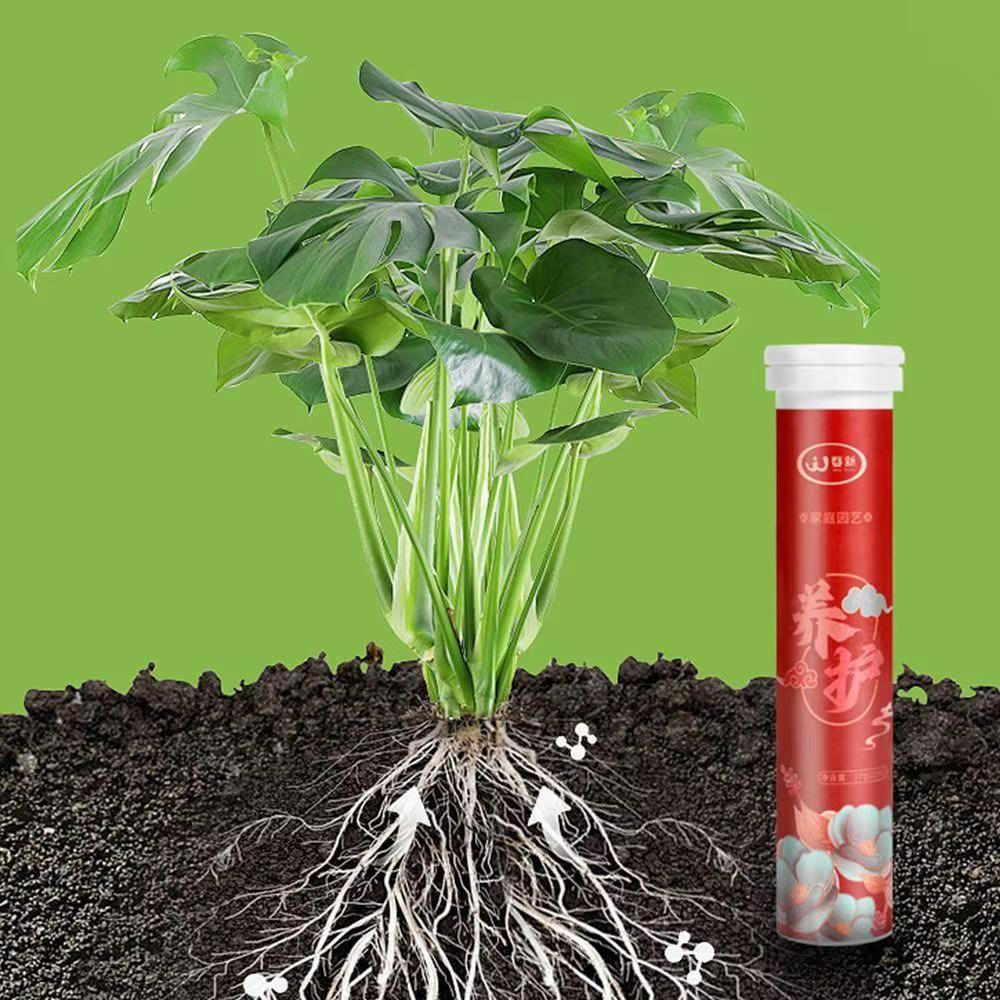 L'engrais organique au phosphore à libération restée accélère la croissance des plantes comprimés nutritionnels