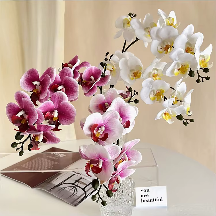 Film d'impression 3D Phalaenopsis
