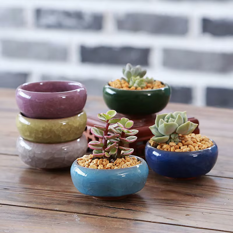 Jardinière succulente en céramique de fleur de glaçure de craquel de glace mignonne Mini Pot de plante Pot