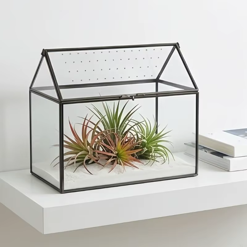 Boîte terrarium en verre pour exposition plantes